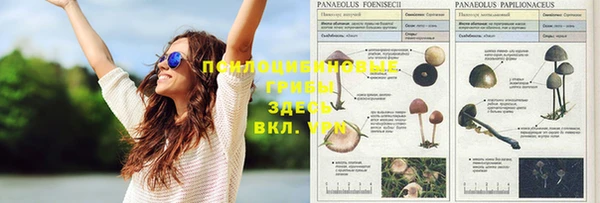 стафф Абдулино