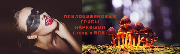 дурь Алзамай