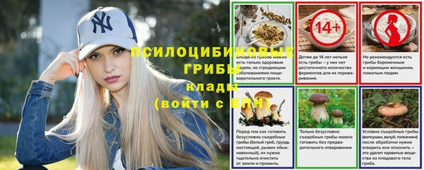 стафф Абдулино
