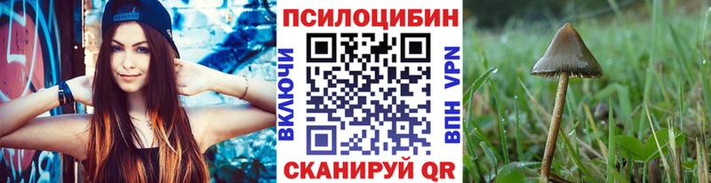 магазин продажи наркотиков  Емва  Галлюциногенные грибы MAGIC MUSHROOMS 